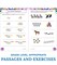 Carson Dellosa Skill Builders K-5 Spanish Workbook, Alphabet, Vocabulary, Sight Words, Numbers, and More, Kindergarten to 5th Grade Classroom or Homeschool Curriculum
